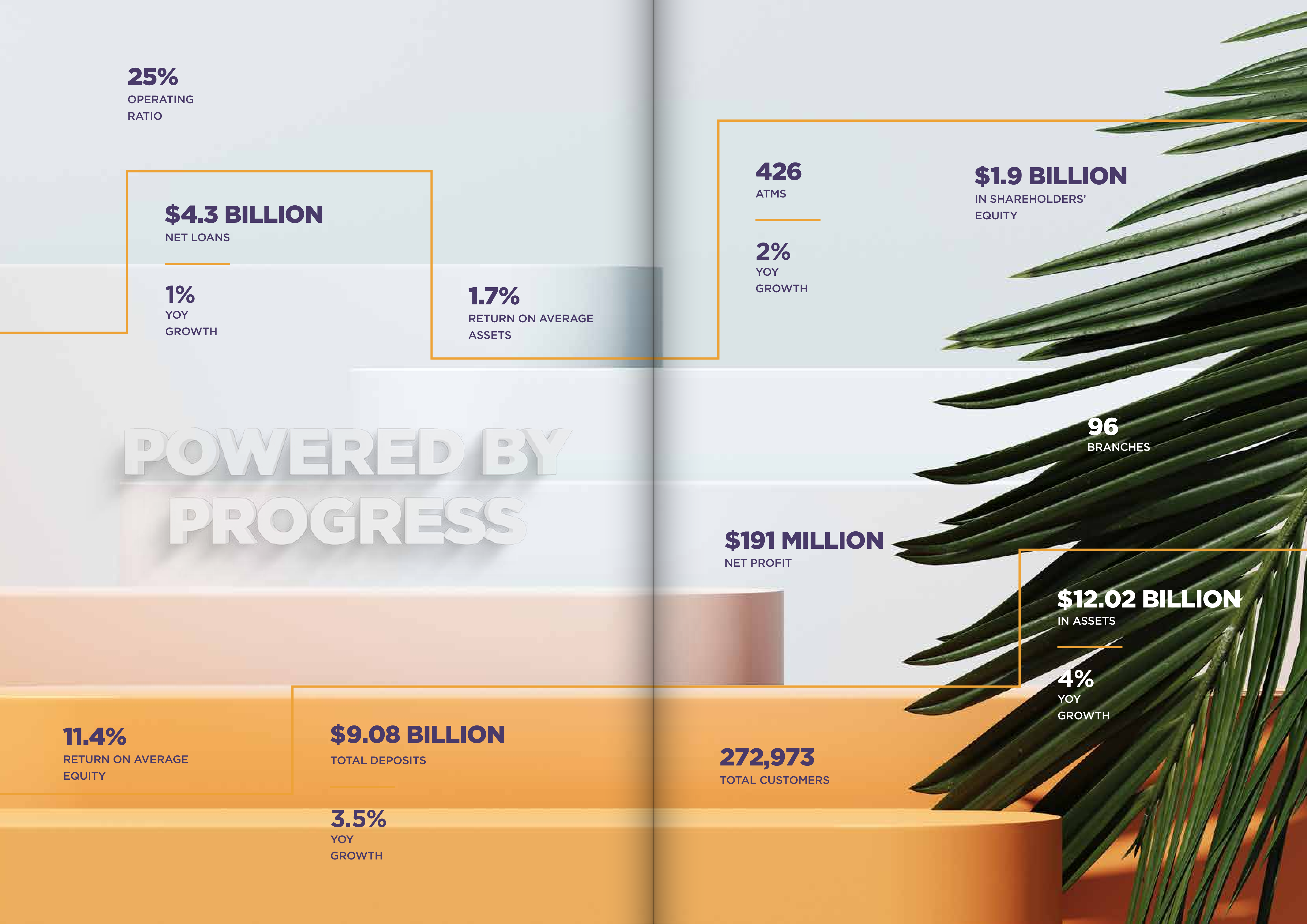 5_4_21_AAIB_Annual_Report_2020_ash-11