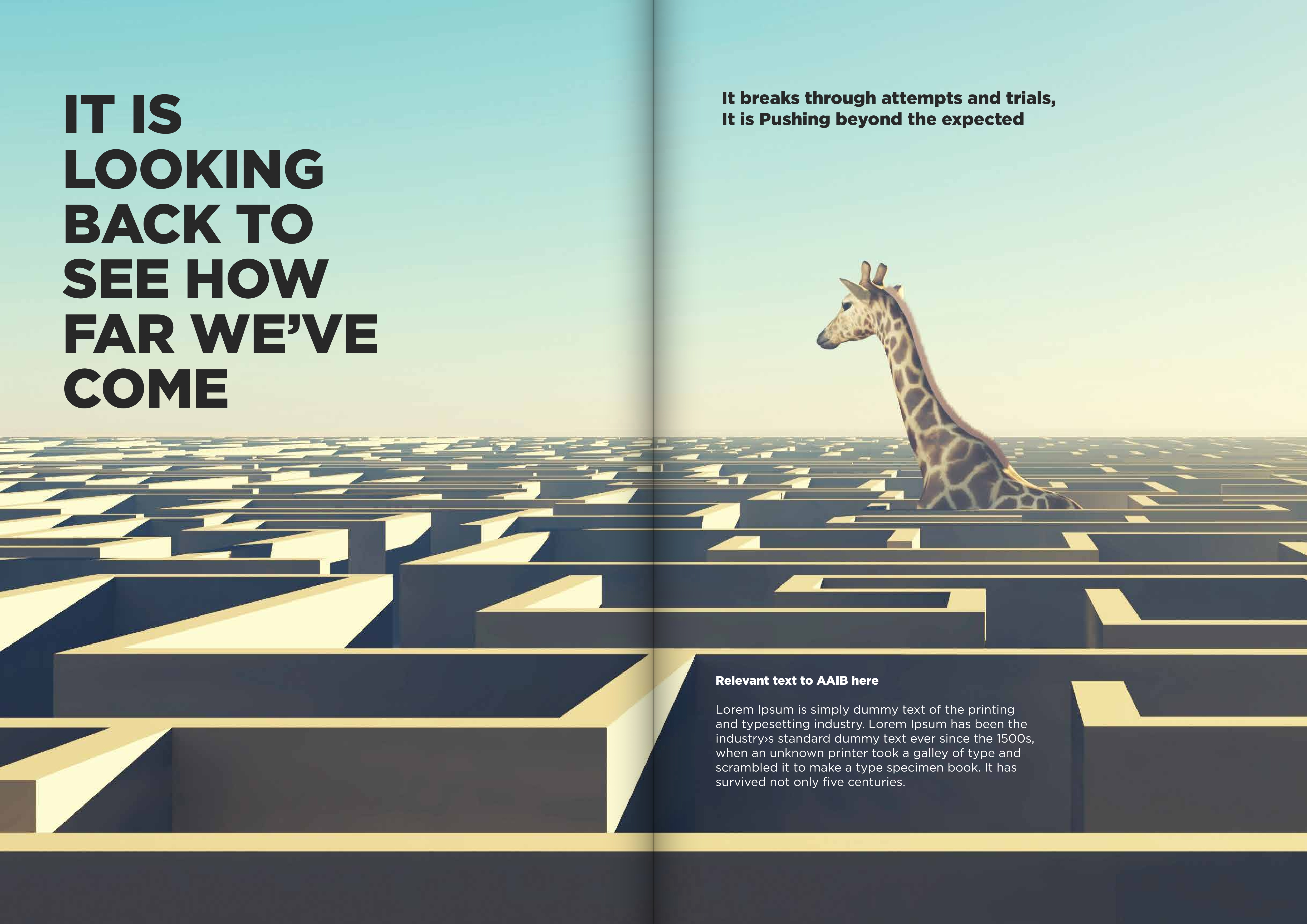 5_4_21_AAIB_Annual_Report_2020_ash-5